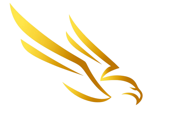 Logo Eagle's Vision